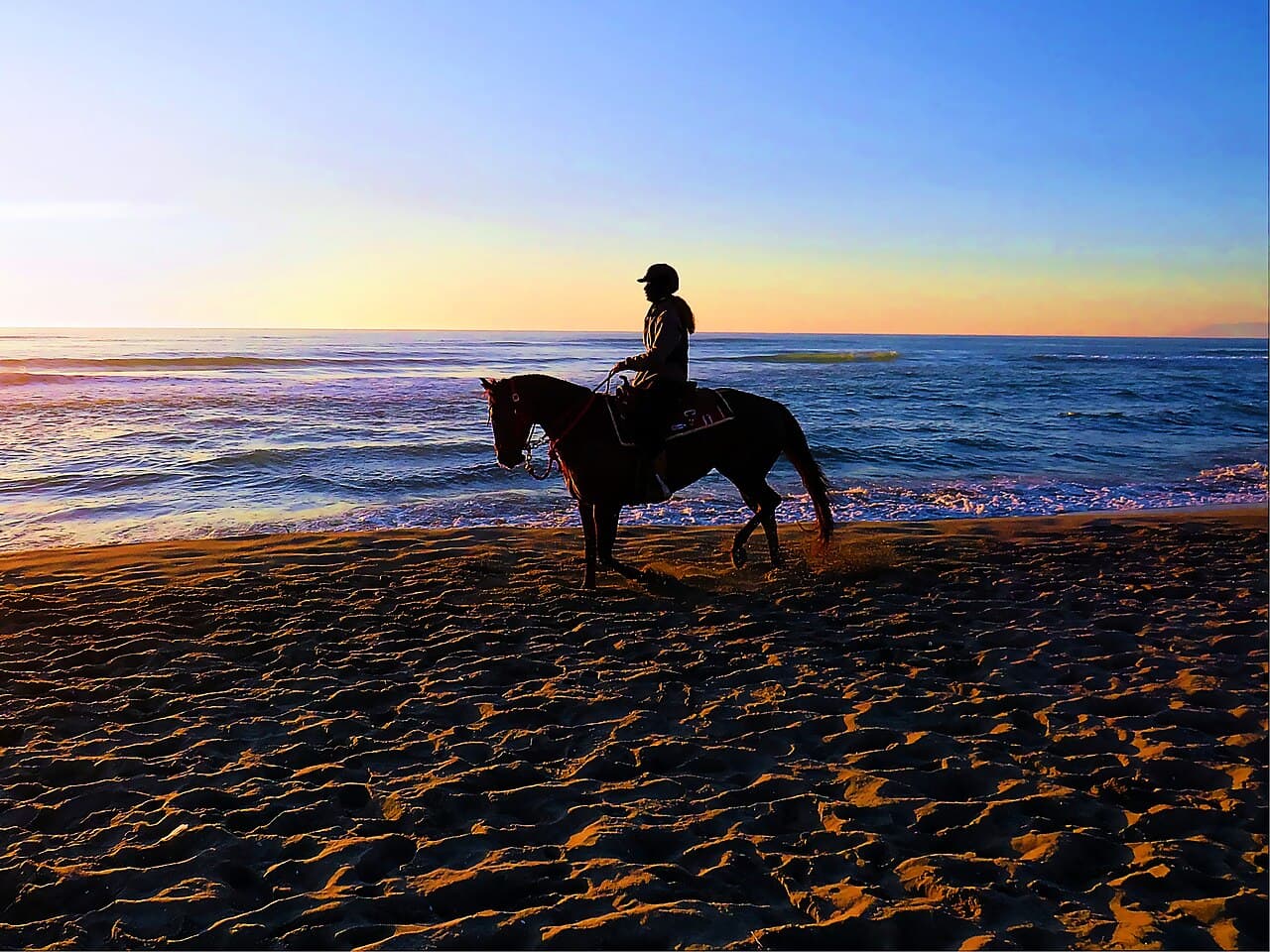Paard en ruiter op het strand